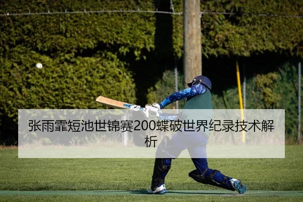 张雨霏短池世锦赛200蝶破世界纪录技术解析